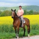 Reiterin mit Pferd vor Rapsfeld